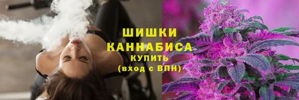 амф Корсаков