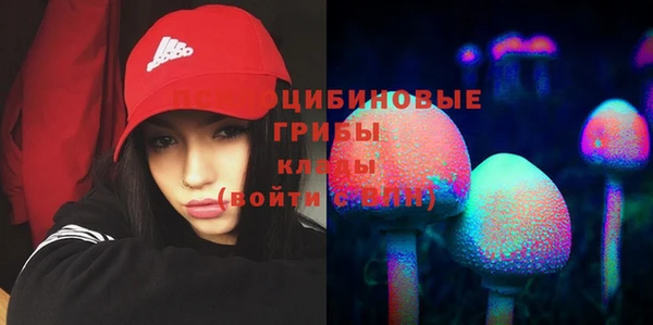 таблы Костерёво