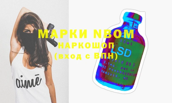 амф Корсаков