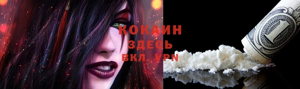 амф Корсаков