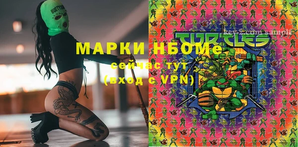 амф Корсаков