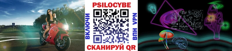 Галлюциногенные грибы Psilocybe  Купить закладки  Каргат 